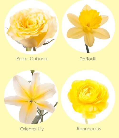 flori galbene pentru nunta - Copy (2)